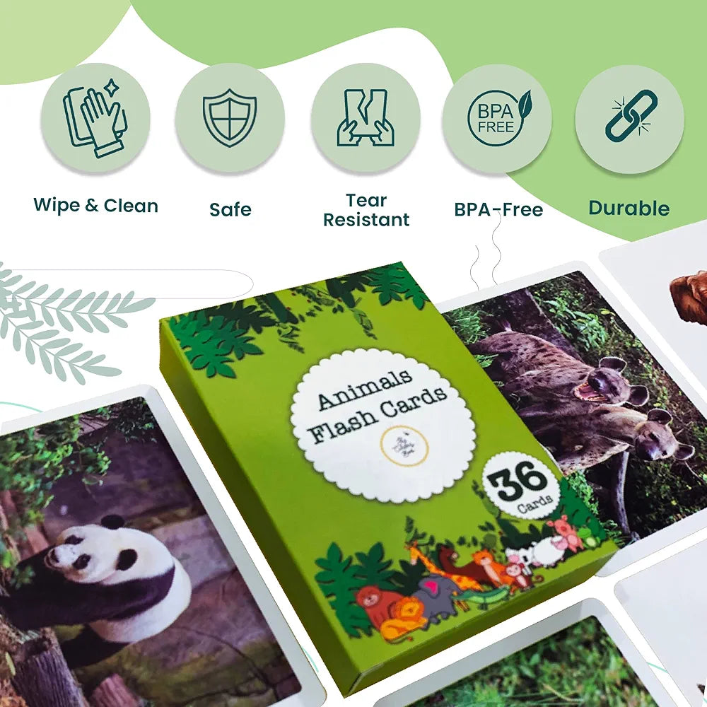 The Curious Bees - Animals Flash Cards | 36 Laminated Cards for Kids | Age Group: 1-4 Years | Fun Early Educating Activity for Kids