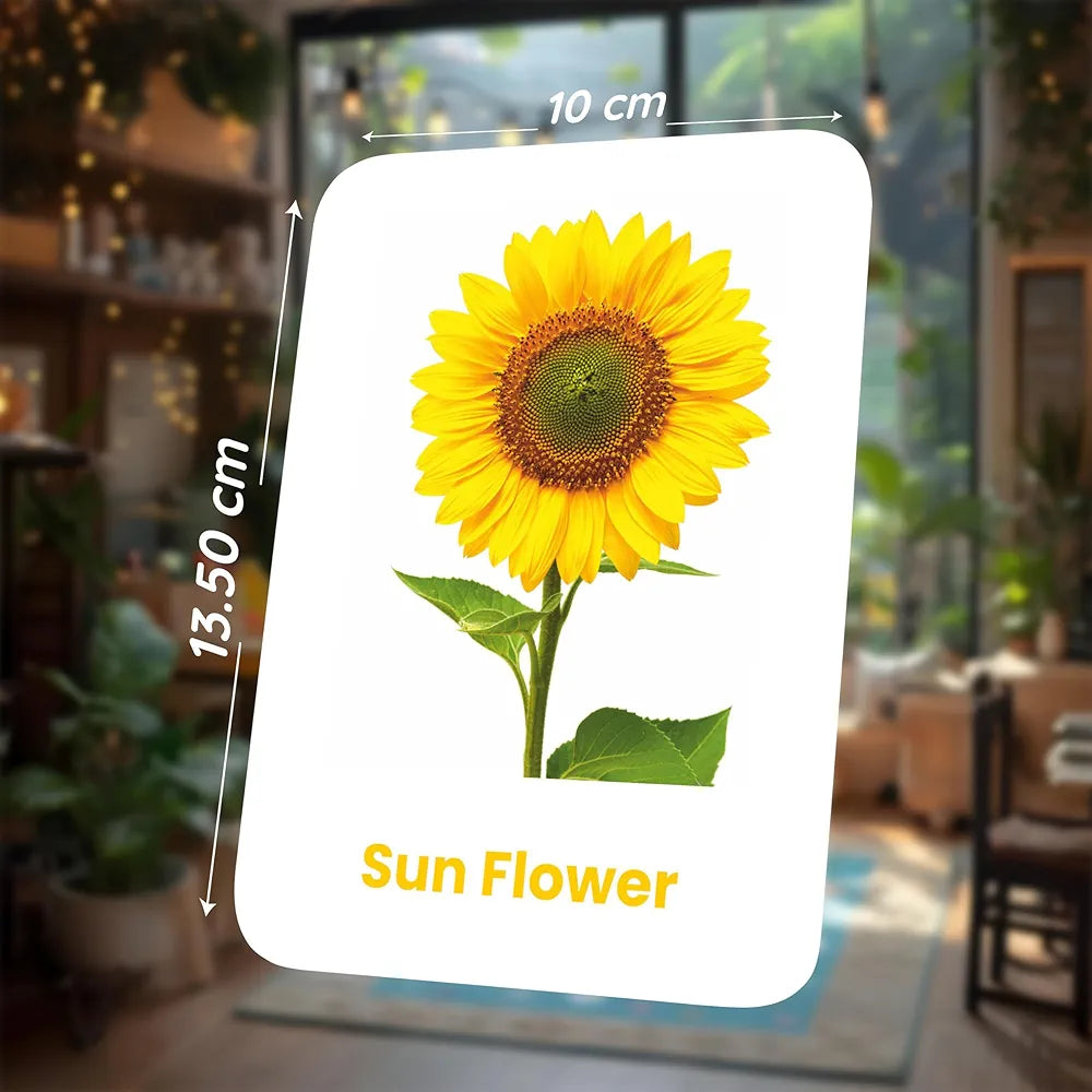 SPARTAN KIDS Flower Flash Cards for Kids | 27 Early Learning Flash Cards Easy & Fun Way of Learning 1 Year to 6 Years Babies, for Cognitive_Skills