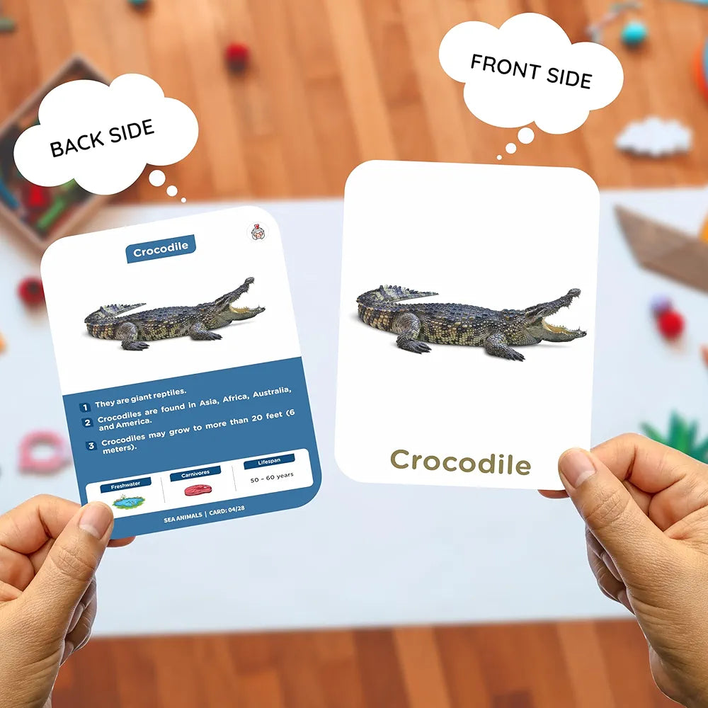 SPARTAN KIDS Sea Animals Flash Cards for Kids Cognitive_Skills | 27 Early Learning Flash Cards Easy & Fun Way of Learning 1 Year to 6 Years Babies