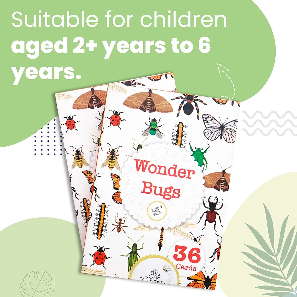 The Curious Bees - Wonder Bugs | 36 Laminated Anti-Glare Cards | Montessori Inspired Fun & Easy to Learn Toys for Kids
