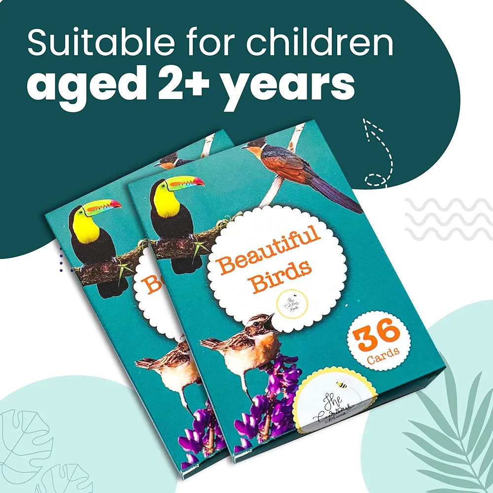 The Curious Bees - Beautiful Birds Flash Cards | 36 Laminated Cards for Kids | Age Group: 2-4 Years | Ideal for Early Learning at Home, Pre School and as a Fun Education Activity