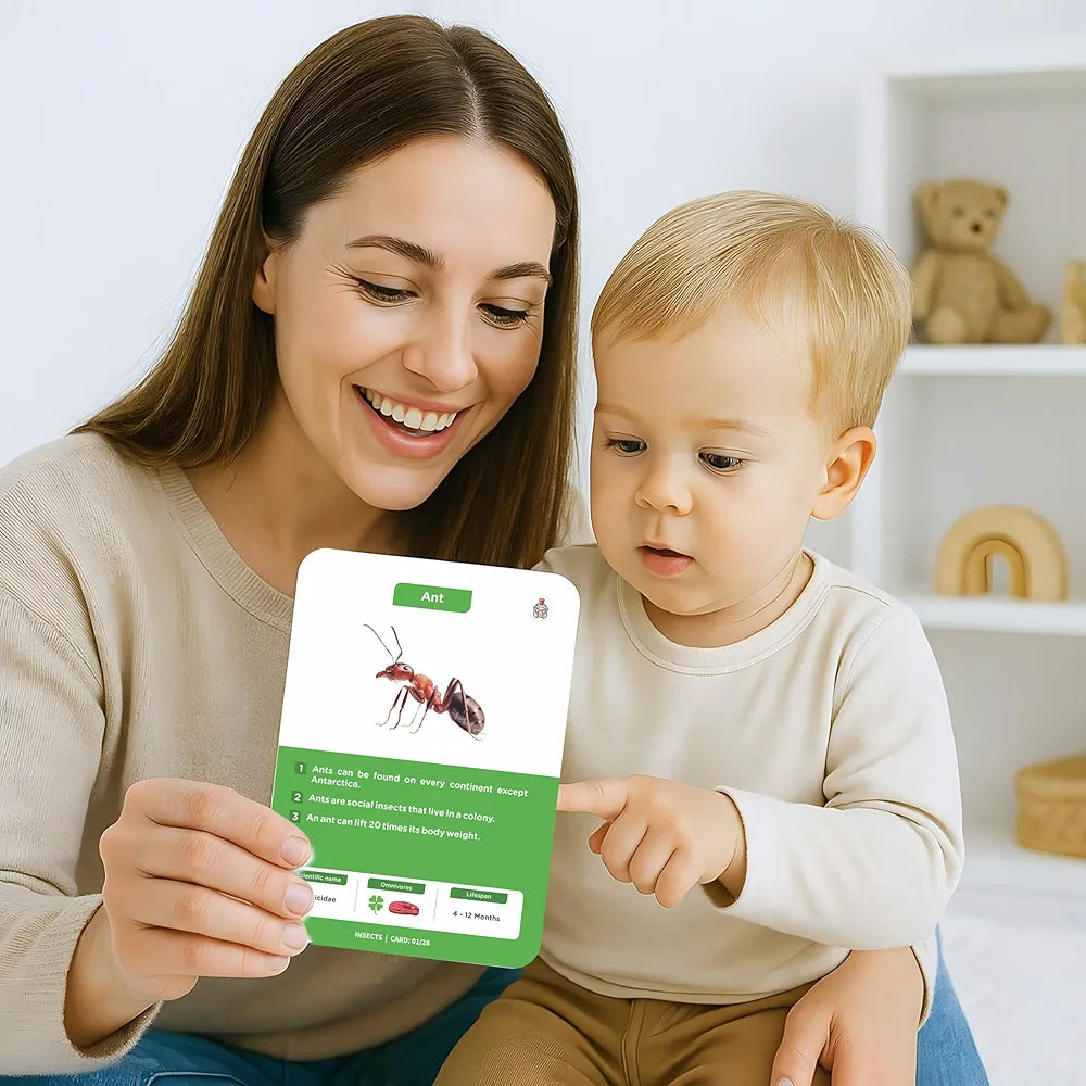 SPARTAN KIDS® Insect Flash Cards for Kids | 28 Early Learning Flash Cards Easy & Fun Way of Learning 1 Year to 6 Years Babies