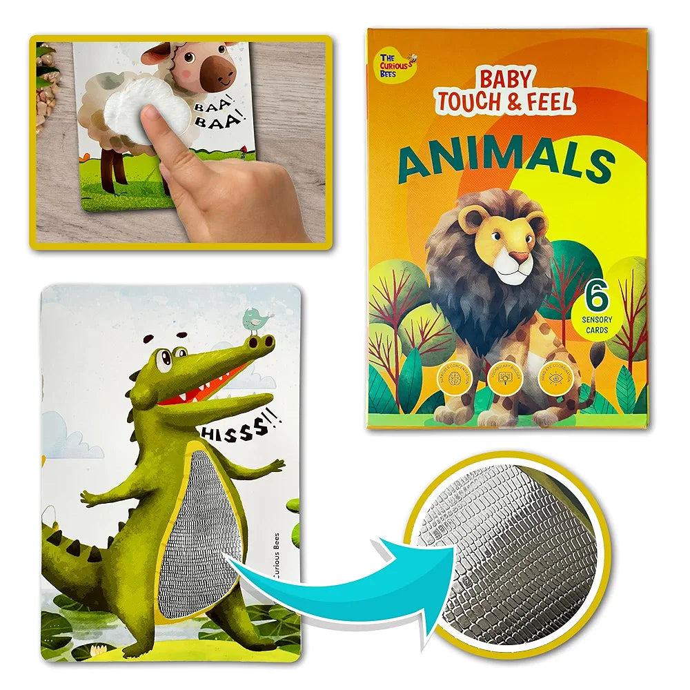 The Curious Bees - Animals Touch & Feel Sensory Cards | 12 Animals & 6 Textures to Enhance Sensory, Cognitive, Spatial & Hand Eye Co-Ordination Skill Development