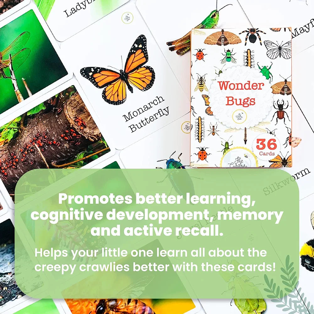 The Curious Bees - Wonder Bugs | 36 Laminated Anti-Glare Cards | Montessori Inspired Fun & Easy to Learn Toys for Kids