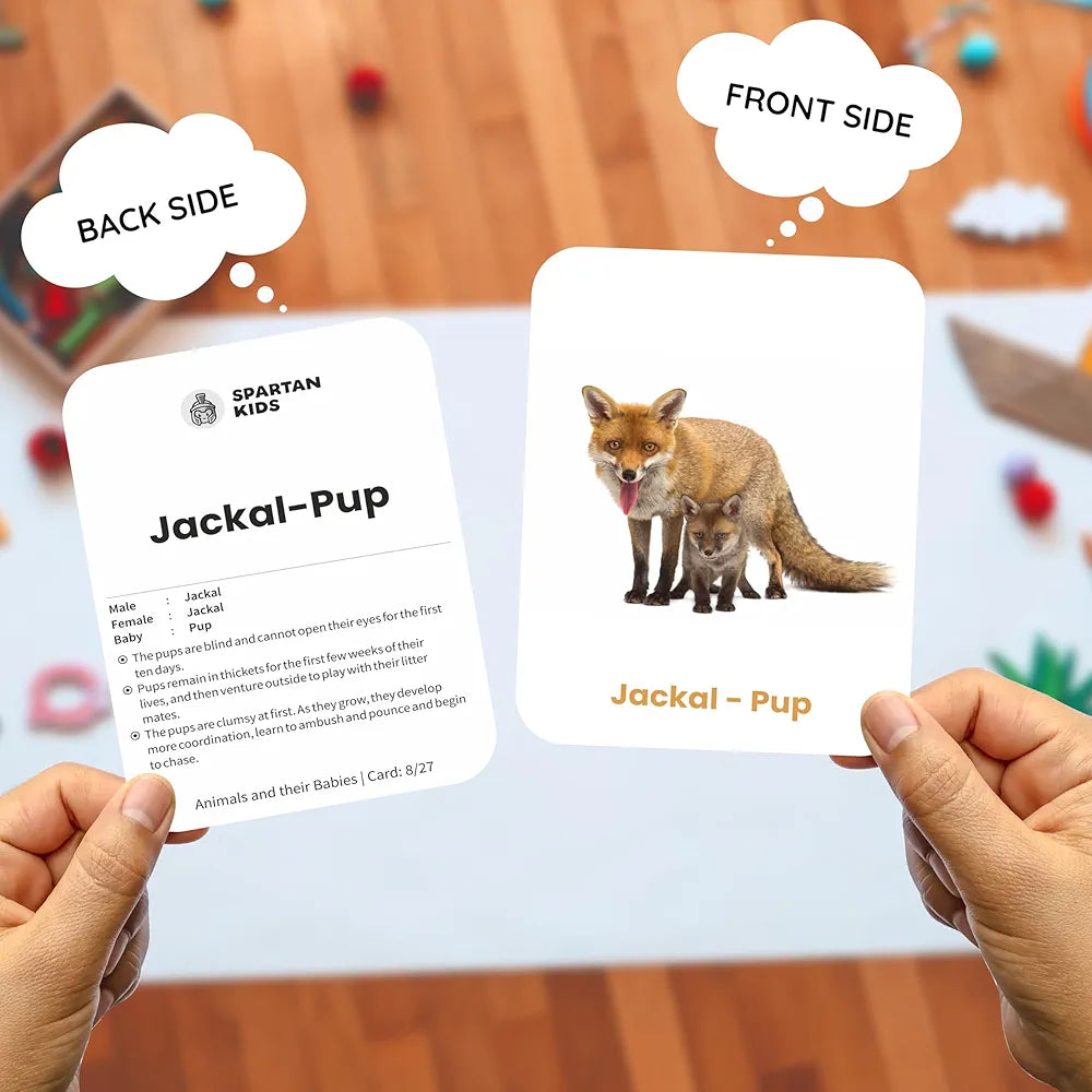 SPARTAN KIDS Animals & Their Babies Flash Cards for Kids | 27 Early Learning Language_Skills Flash Cards Easy & Fun Way of Learning 1 Year to 6 Years Babies