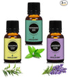 Earth N Pure Lavender, Peppermint & Eucalyptus Essential Oils - Pack Of 3 - 15 ml each