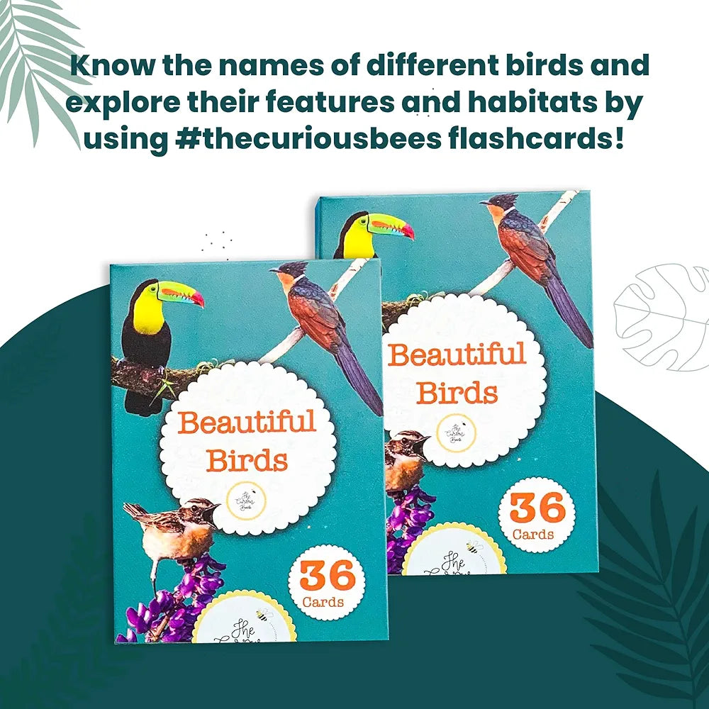 The Curious Bees - Beautiful Birds Flash Cards | 36 Laminated Cards for Kids | Age Group: 2-4 Years | Ideal for Early Learning at Home, Pre School and as a Fun Education Activity
