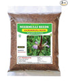 3V  Products  Dried Neermulli Seeds - 50 gms - Pack of 2 (Raw)