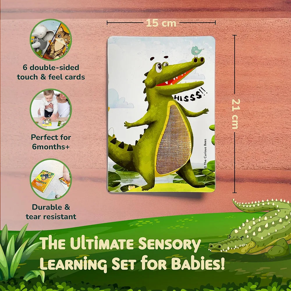 The Curious Bees - Animals Touch & Feel Sensory Cards | 12 Animals & 6 Textures to Enhance Sensory, Cognitive, Spatial & Hand Eye Co-Ordination Skill Development