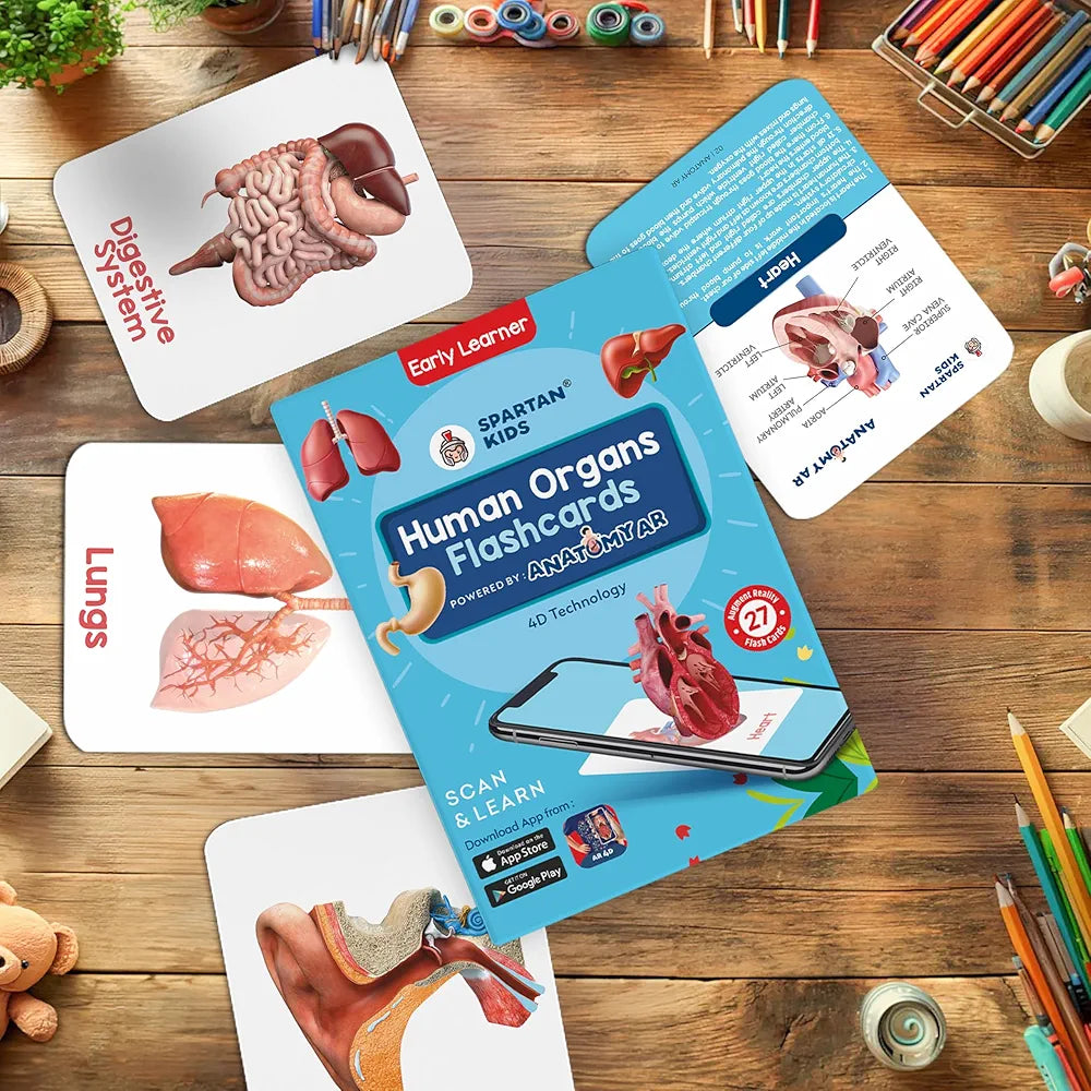 SPARTAN KIDS® Human Organs Flash Cards | Early Learning 4D Technology Flash Cards for Kids | 27 Augmented Reality Cards for Kids 3+ Years