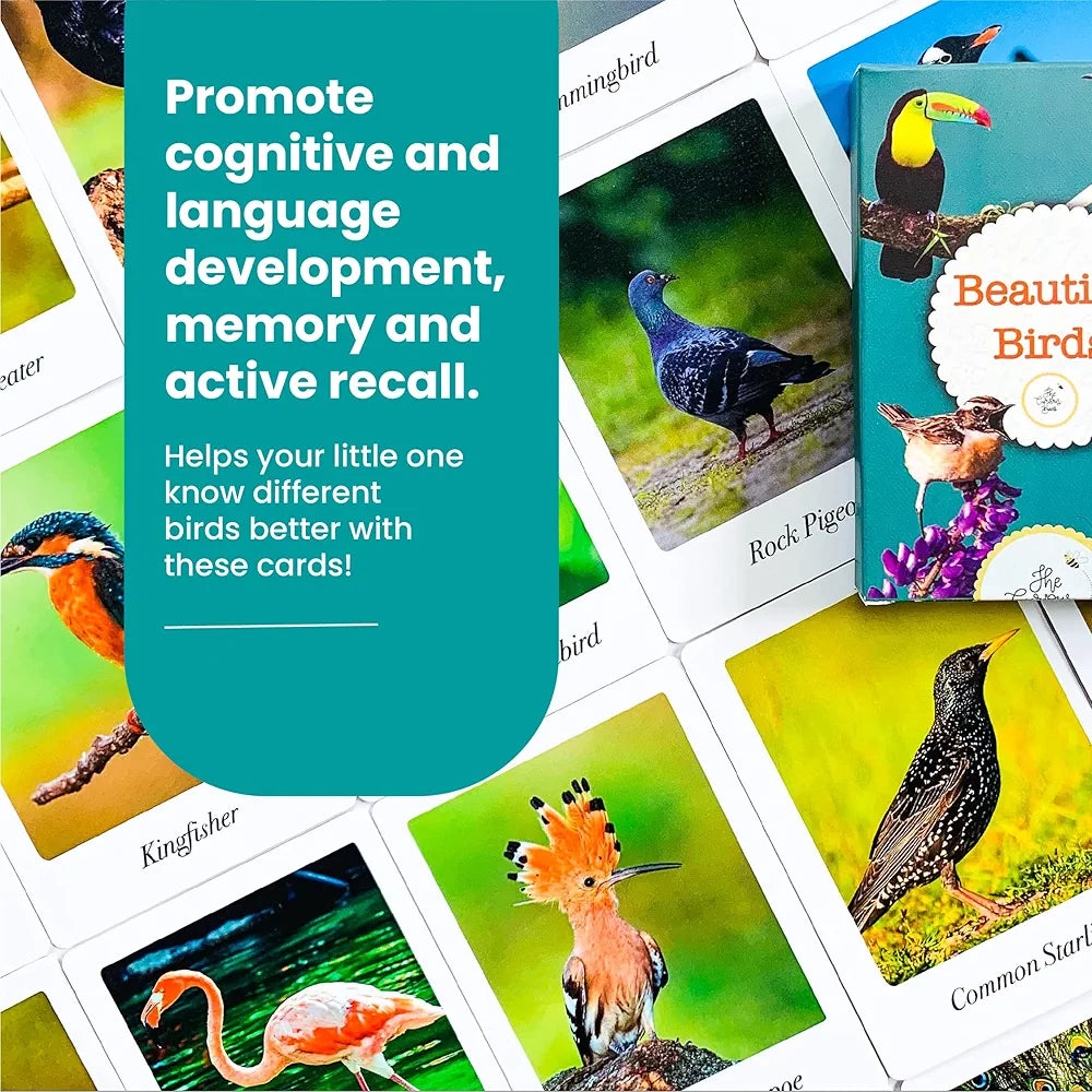 The Curious Bees - Beautiful Birds Flash Cards | 36 Laminated Cards for Kids | Age Group: 2-4 Years | Ideal for Early Learning at Home, Pre School and as a Fun Education Activity