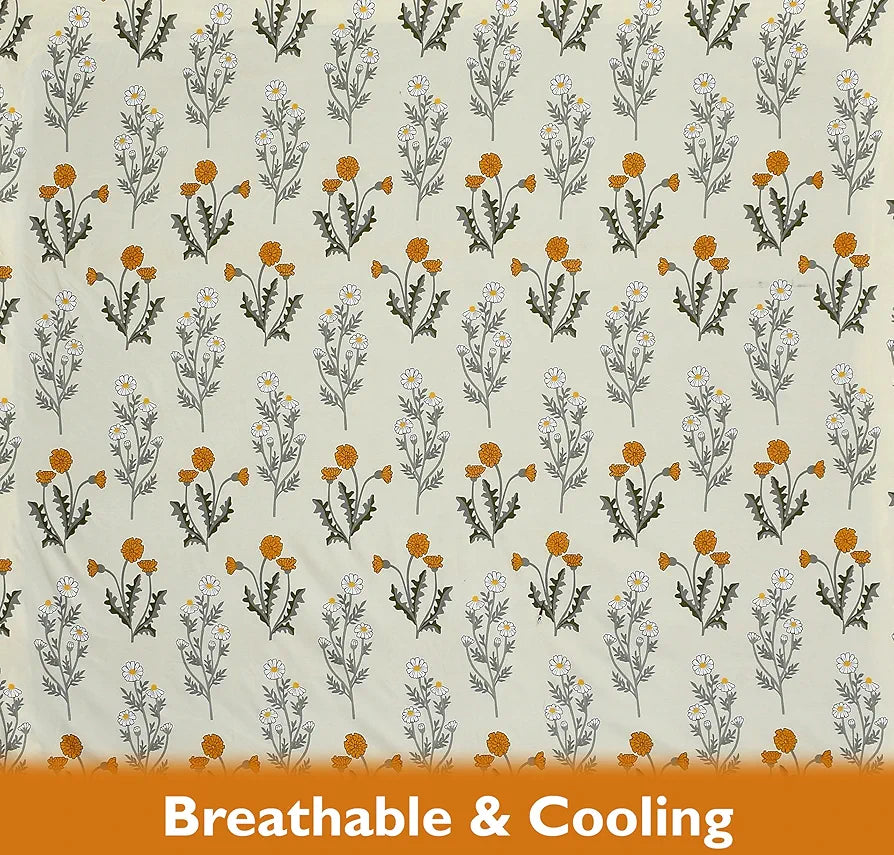 Fresh From Loom Single Bed Microfiber Bedsheet with Floral Print 240 TC Hypoallergenic Includes 1 Pillow Covers Multicolor Daisy-Vanilla