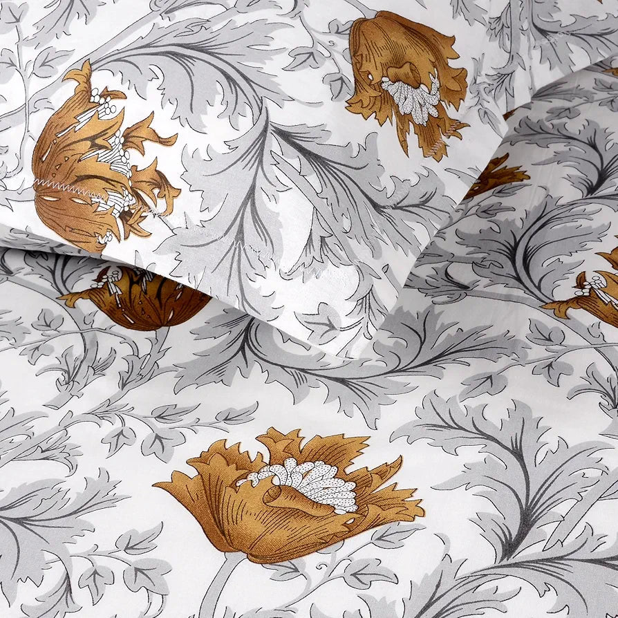 Divine Casa Bedsheet for Single Size Bed 144 TC Cotton Bedsheet for Single Size Bed with 1 Pillow Cover  Floral Colour Amber Grey