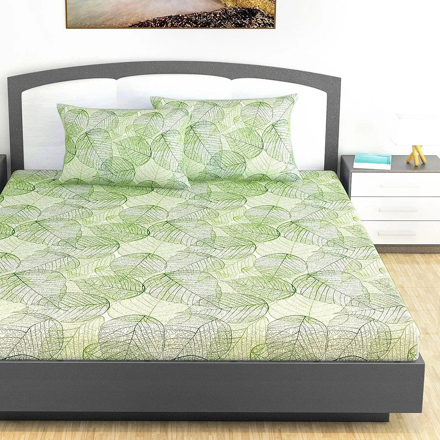 Divine Casa 144 TC 100% Cotton Bedsheet King Size Bed King Size Bedsheet with 2 Pillow Covers Colour Sage Green