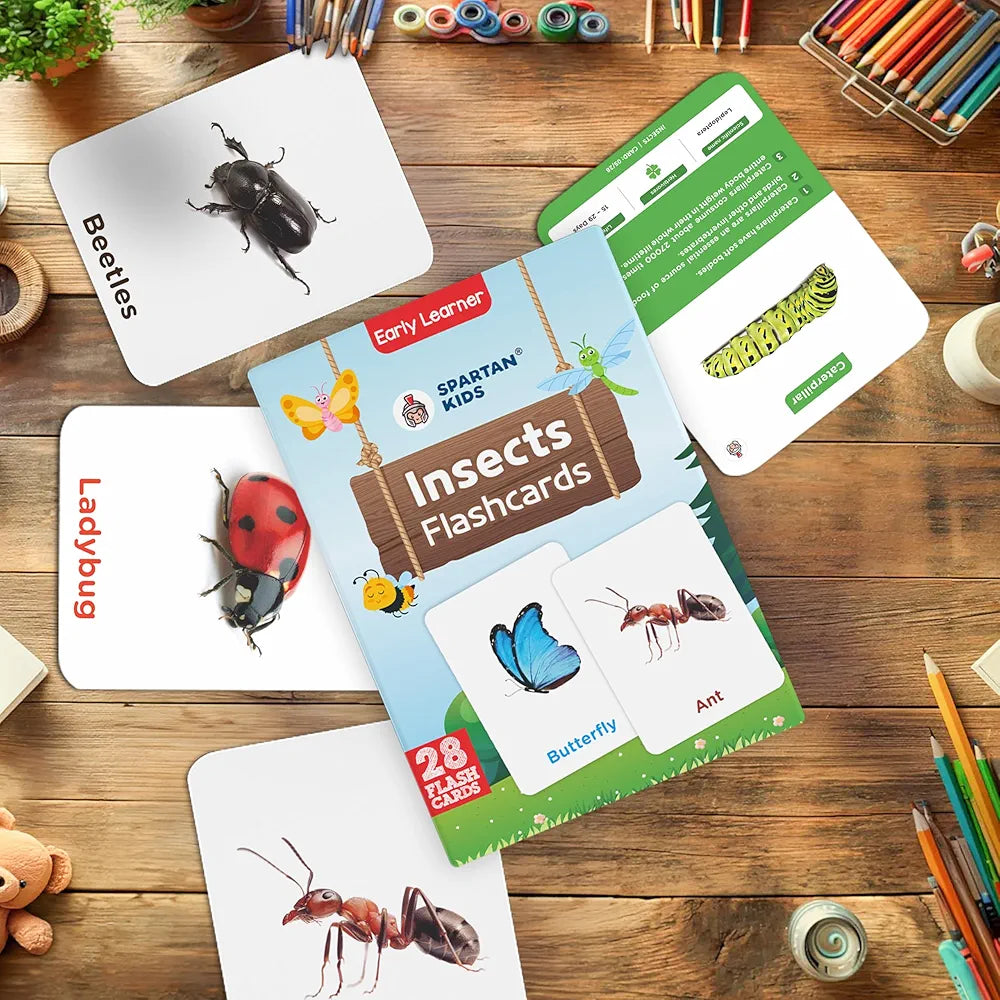 SPARTAN KIDS® Insect Flash Cards for Kids | 28 Early Learning Flash Cards Easy & Fun Way of Learning 1 Year to 6 Years Babies