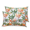 Huesland by Ahmedabad Cotton 144 TC Cotton Pillow Covers Set of 2 | Orange