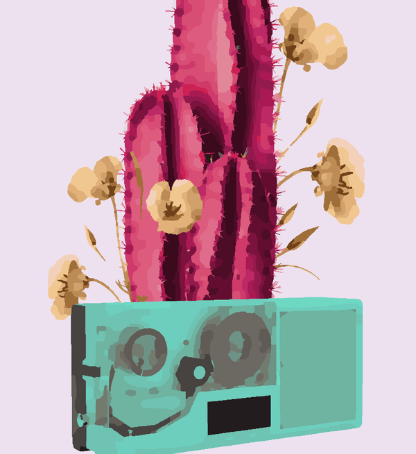 Paint Waint Abstract Pink Cactus