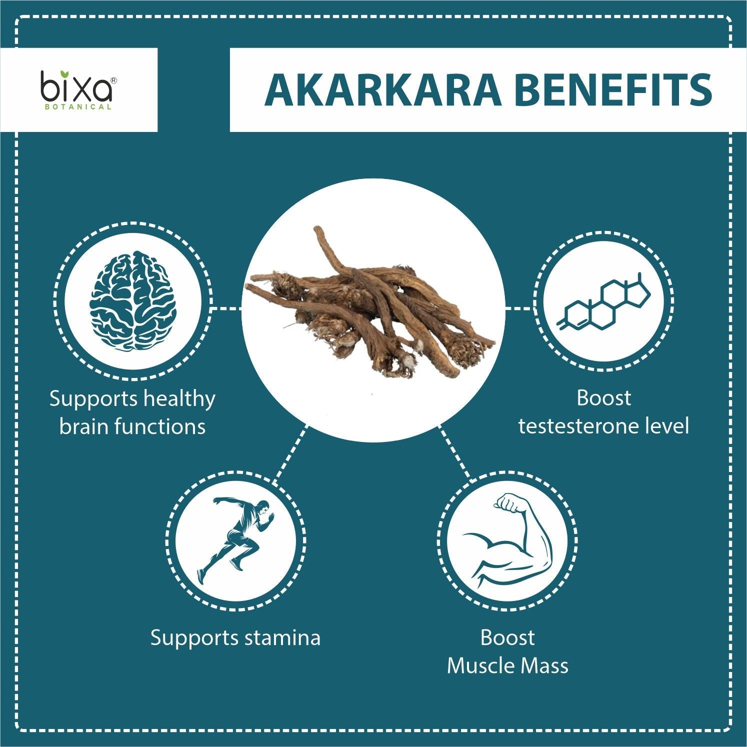 Bixa Botanical Akarkara Root Powder  ( Anacyclus Pyrethrum, Pellitory )