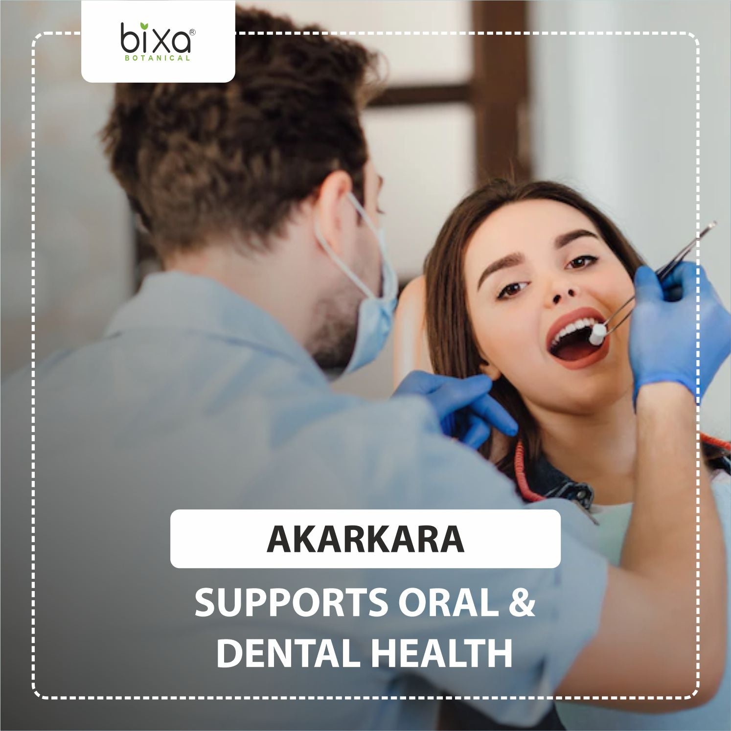 Bixa Botanical Akarkara Root Powder  ( Anacyclus Pyrethrum, Pellitory )
