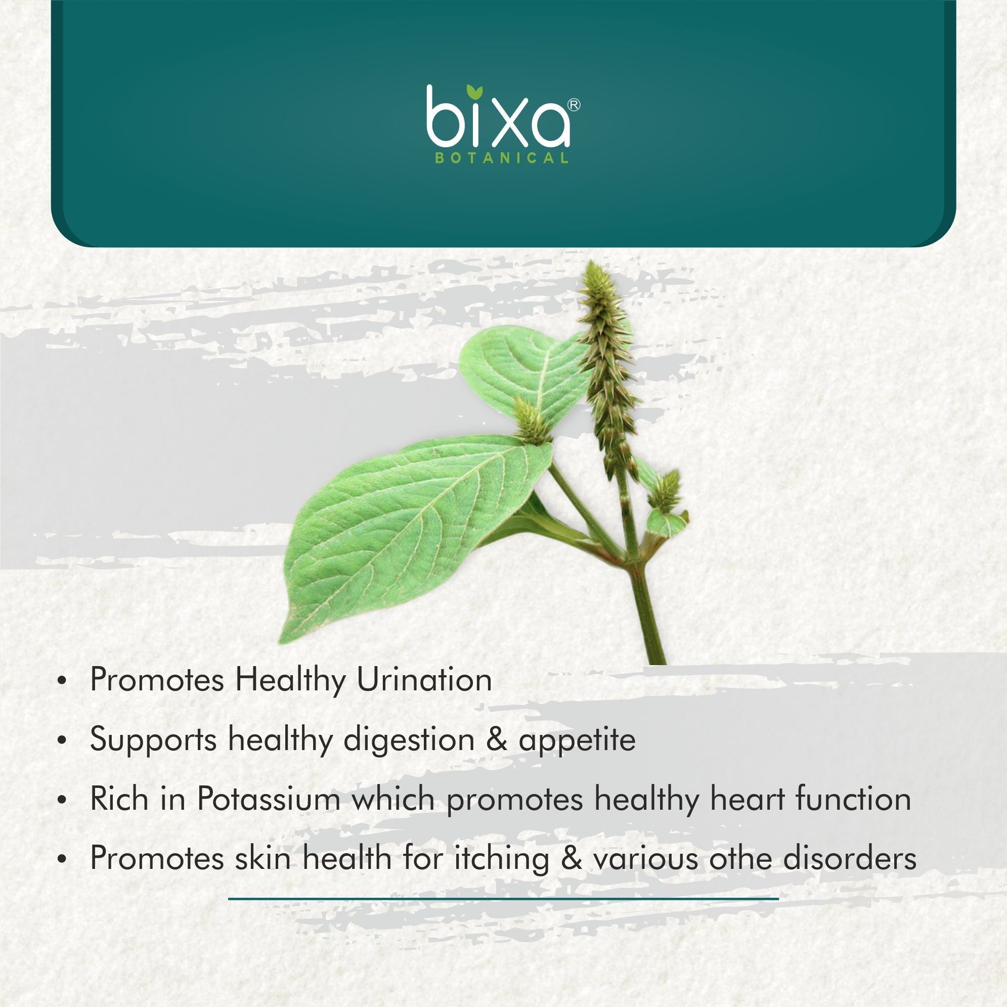 Bixa Botanical Apamarga Herb Powder Achyranthes aspera