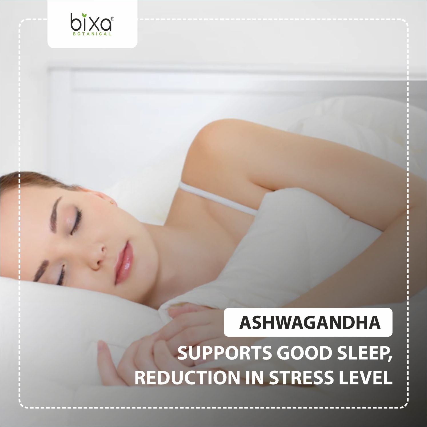 Bixa Botanical Ashwagandha Root Powder  Withania somnifera