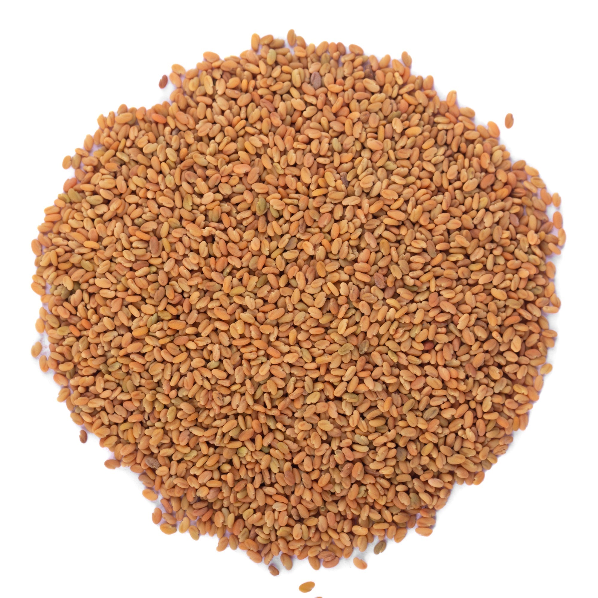 Yuvika Kasuri Methi Seeds - Champa Methi