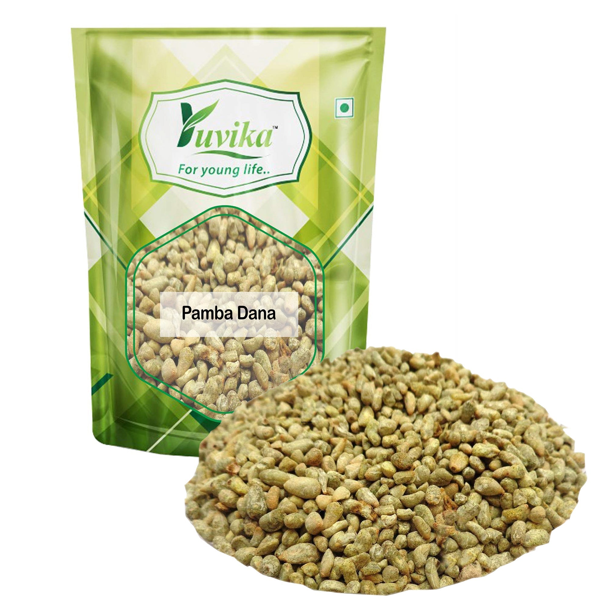 Yuvika Pamba Dana - Binola Giri - Gossypium herbaceum - Cotton Seeds