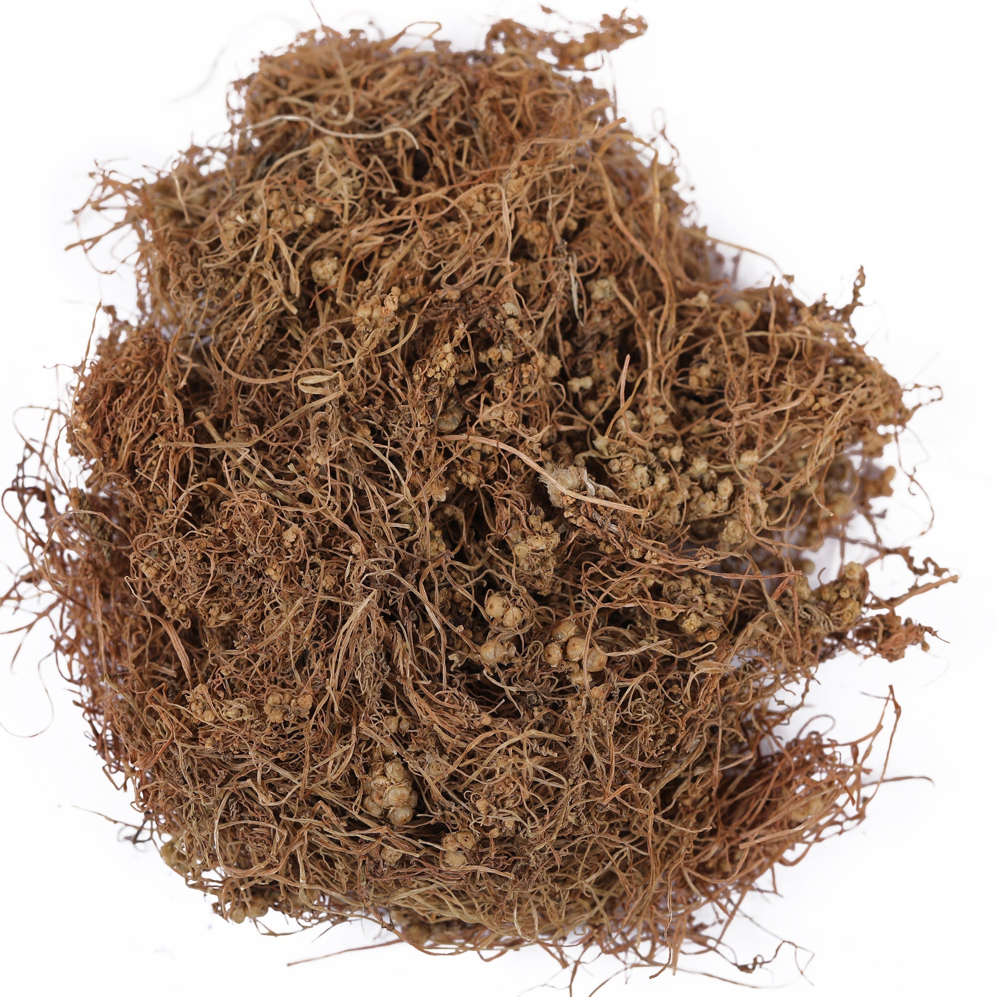 Yuvika Afteeyun - Aftiun - Afttimoon - Amar Bel - Aakash Bel - Cuscuta Reflexa - Dodder