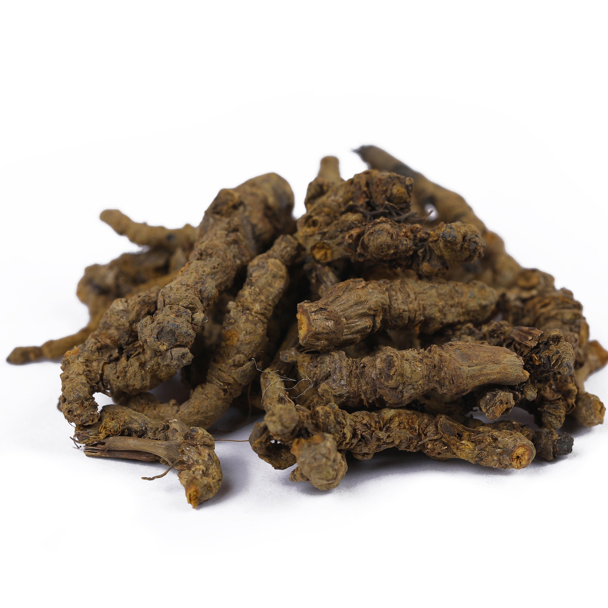 Yuvika Mamira - Haldiya - Bachnag - Coptis teeta - Indian goldthread - 50 gms