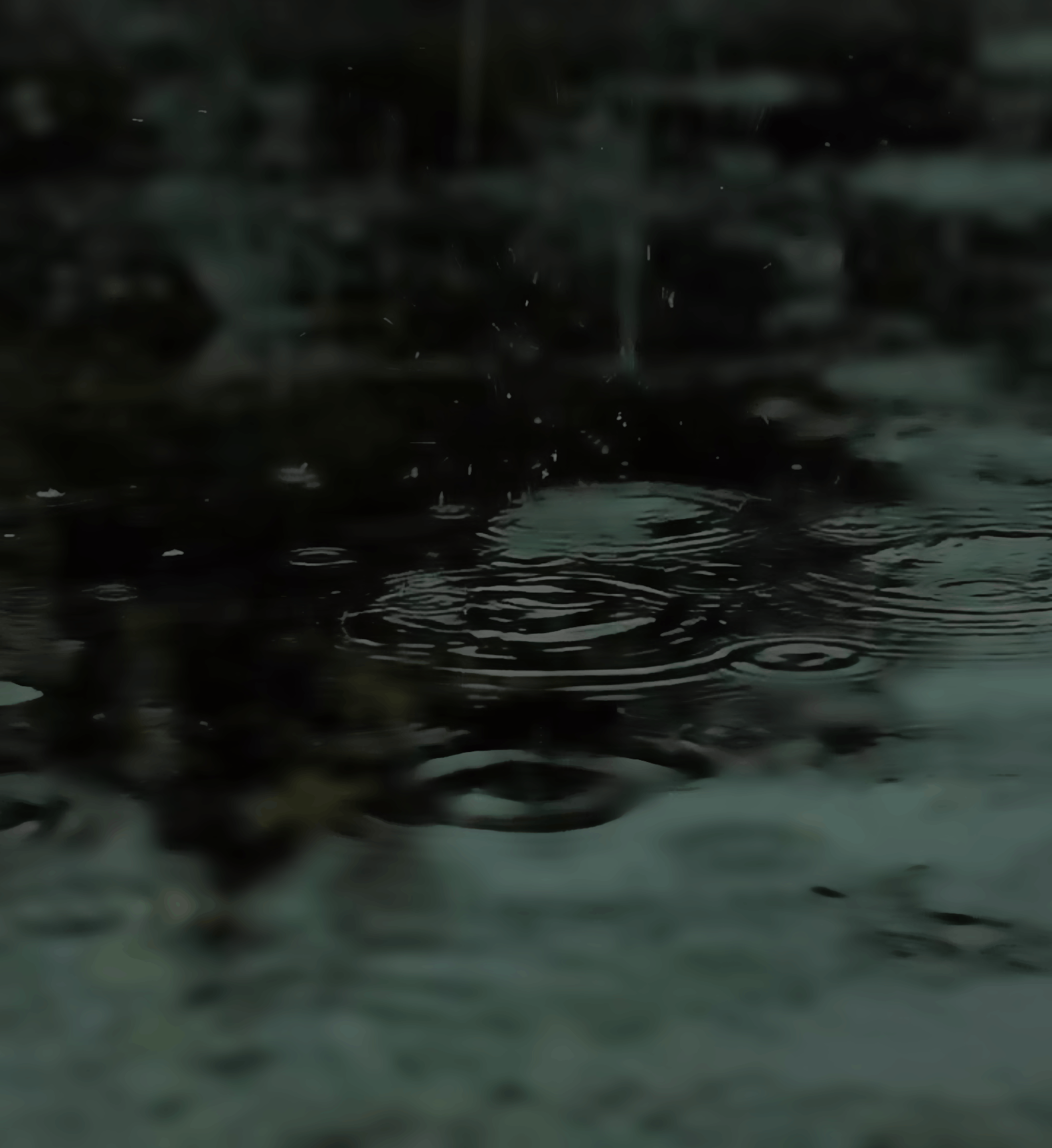 Saawan ki Boodein - Monsoon Edition