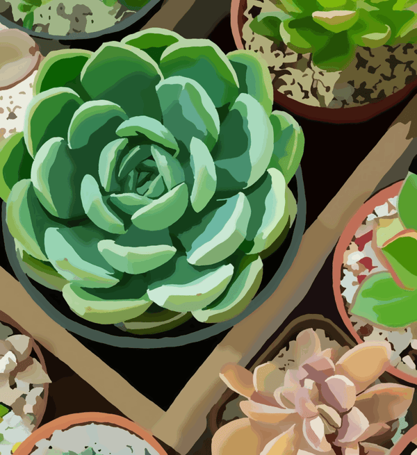 Paint Waint Cactus Farm