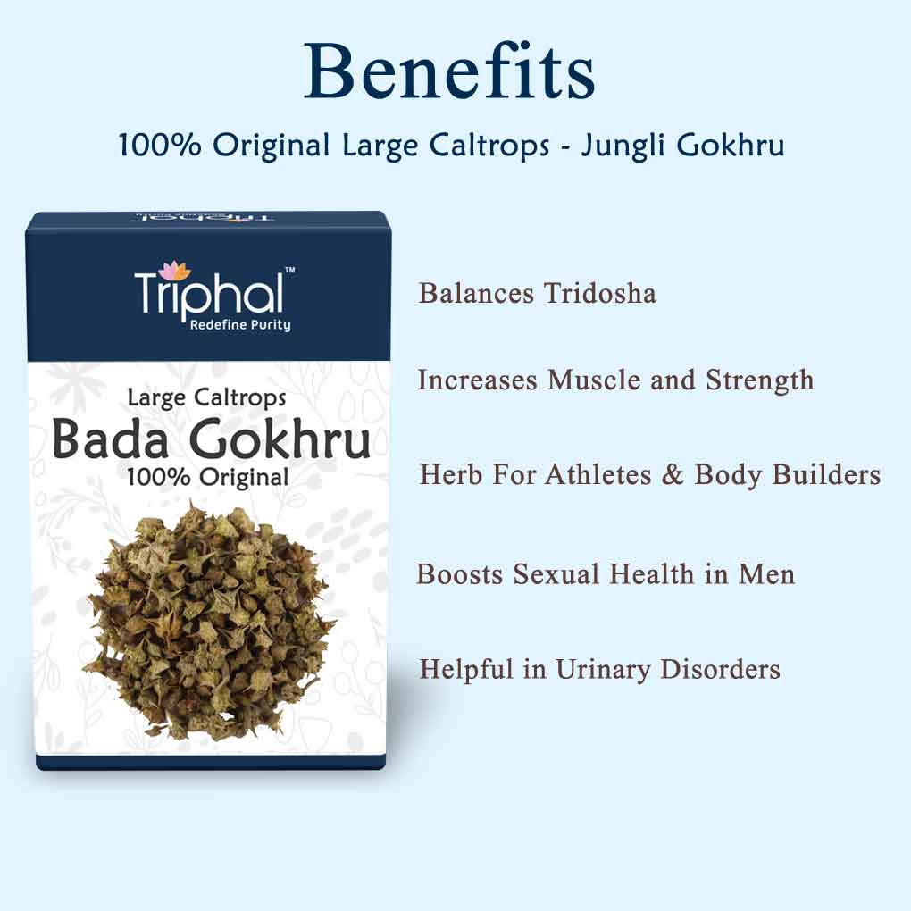 Triphal Bada Gokhru - Gokshura Whole (Raw)