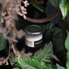 Bare Necessities Mason & Co x Bare Cocao Butter Lip Balm [Natural + Zero Waste + Vegan]