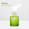 mCaffeine Green Tea & Squalane Face Oil for Dewy Glow | Hydrates & Reduces Dark Spots - 20 ml