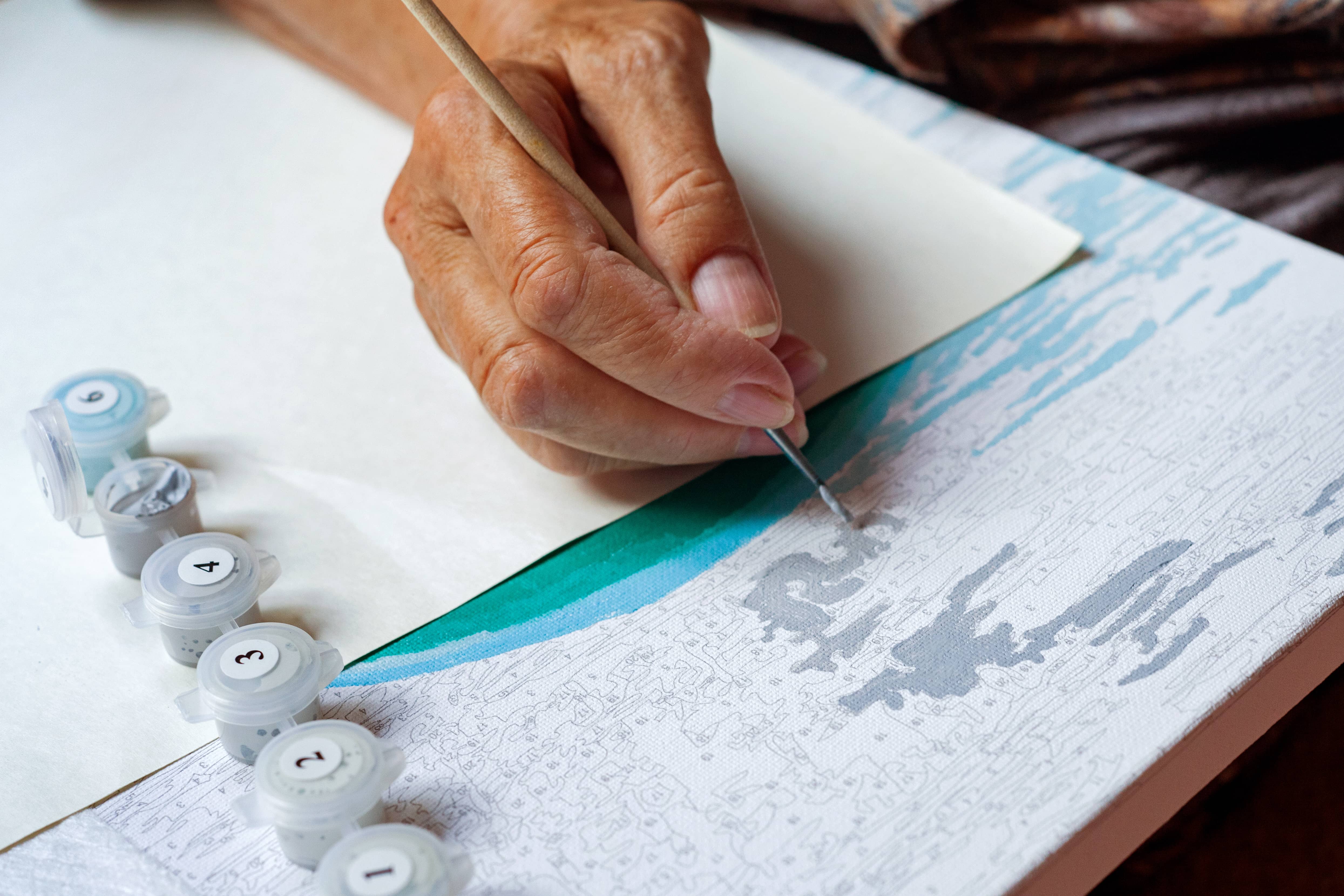 Logan Paint By Numbers kit