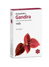 Dr. Vasishth's Gandira - 30 tabs