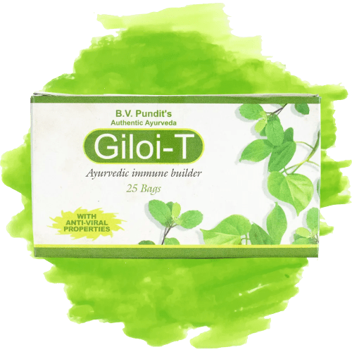 B.V. Pundit's Giloi T - 25 bags