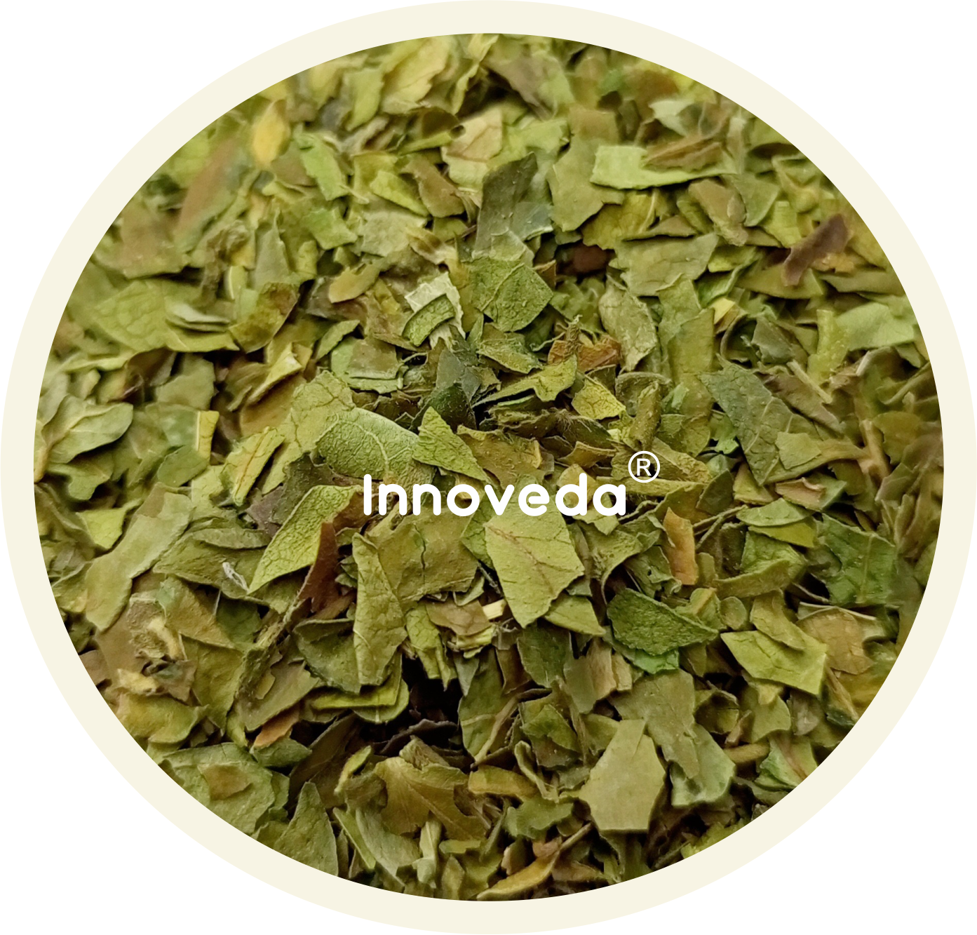 Innoveda Gymnema Gurmar Tea