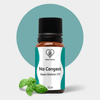 Herb Tantra No Congest Steam Oil for Steam - 15 ml