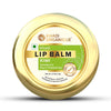 Khadiorganique Kiwi Fruit Lip Balm - 5 gms