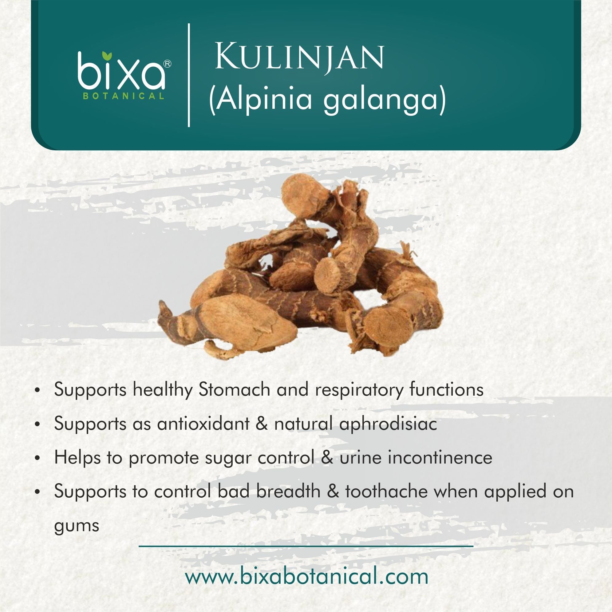 Bixa Botanical Kulinjan Root Powder  Alpinia galanga