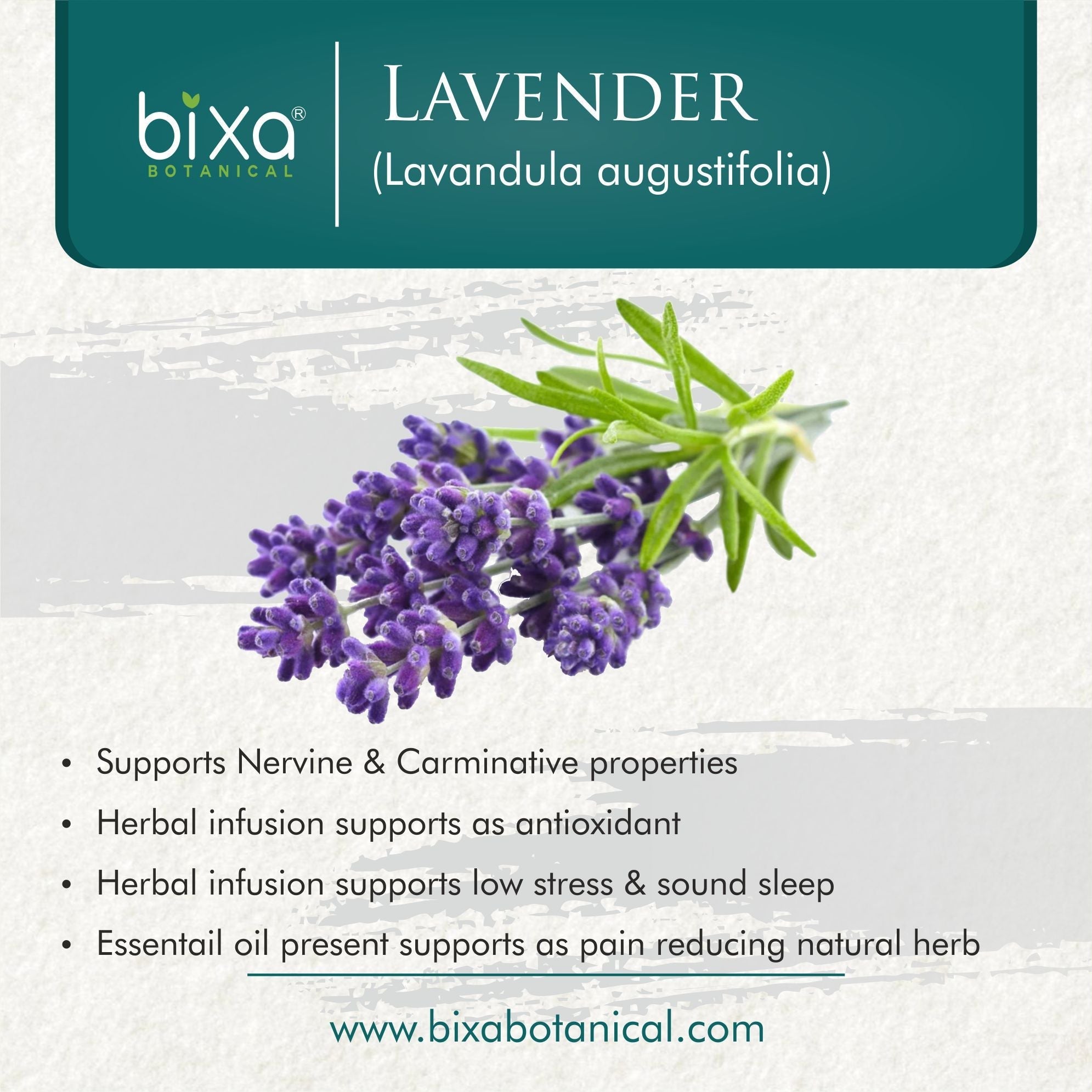 Bixa Botanical Lavender Flower Powder  Lavandula augustifolia