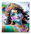 Paint Waint Rasrang Krishna