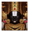 Paint Waint Shreehari Leela Tirupati Balaji