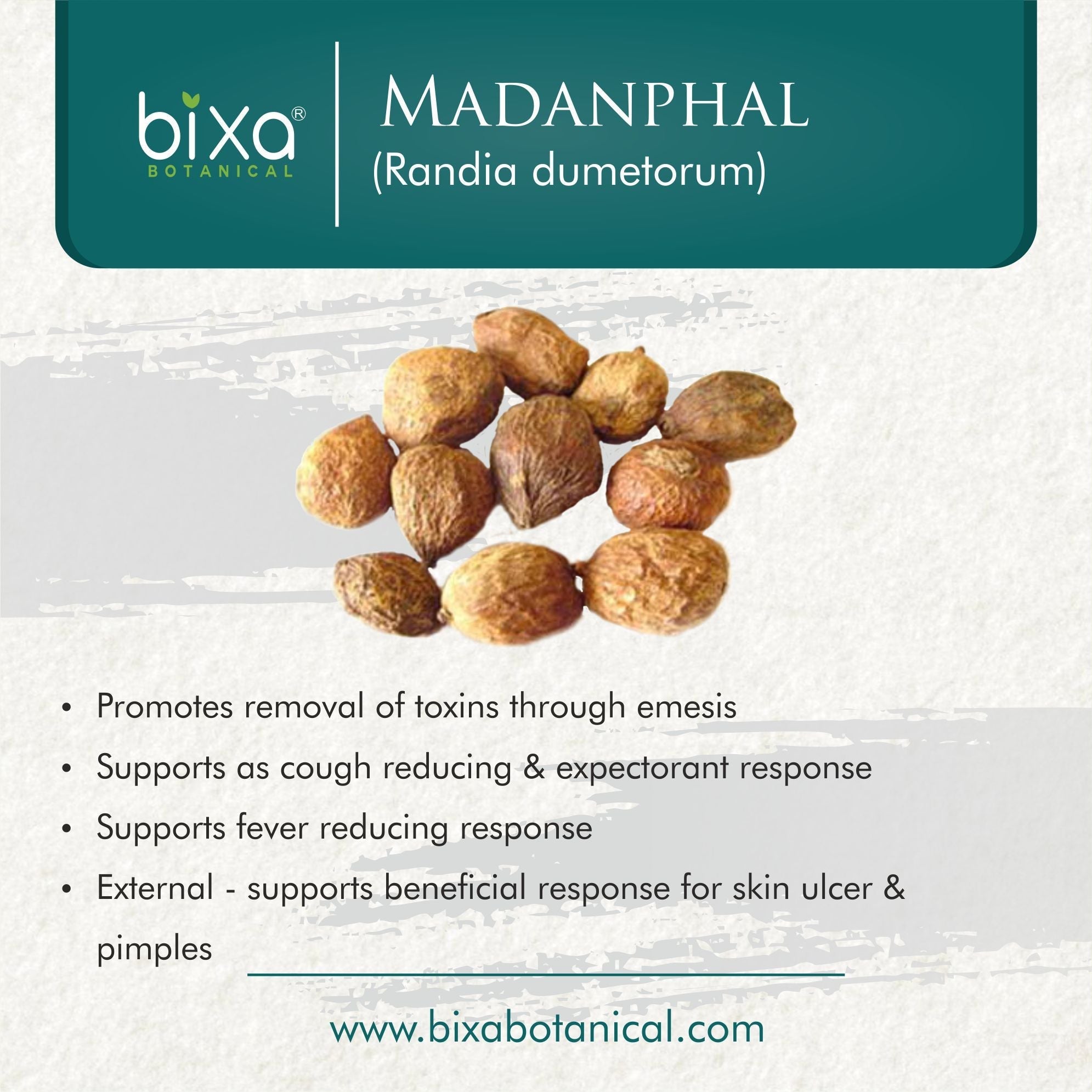 Bixa Botanical Madanphal Powder  Randia dumetorum