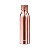 Milton Glitz Vacuum Insulated Thermosteel Bottle