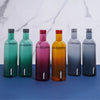 Nayasa Turtle Plastic Water Bottle 1000ml Assorted