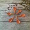 Zishta Neem Wood Broad Spoons Set of 6