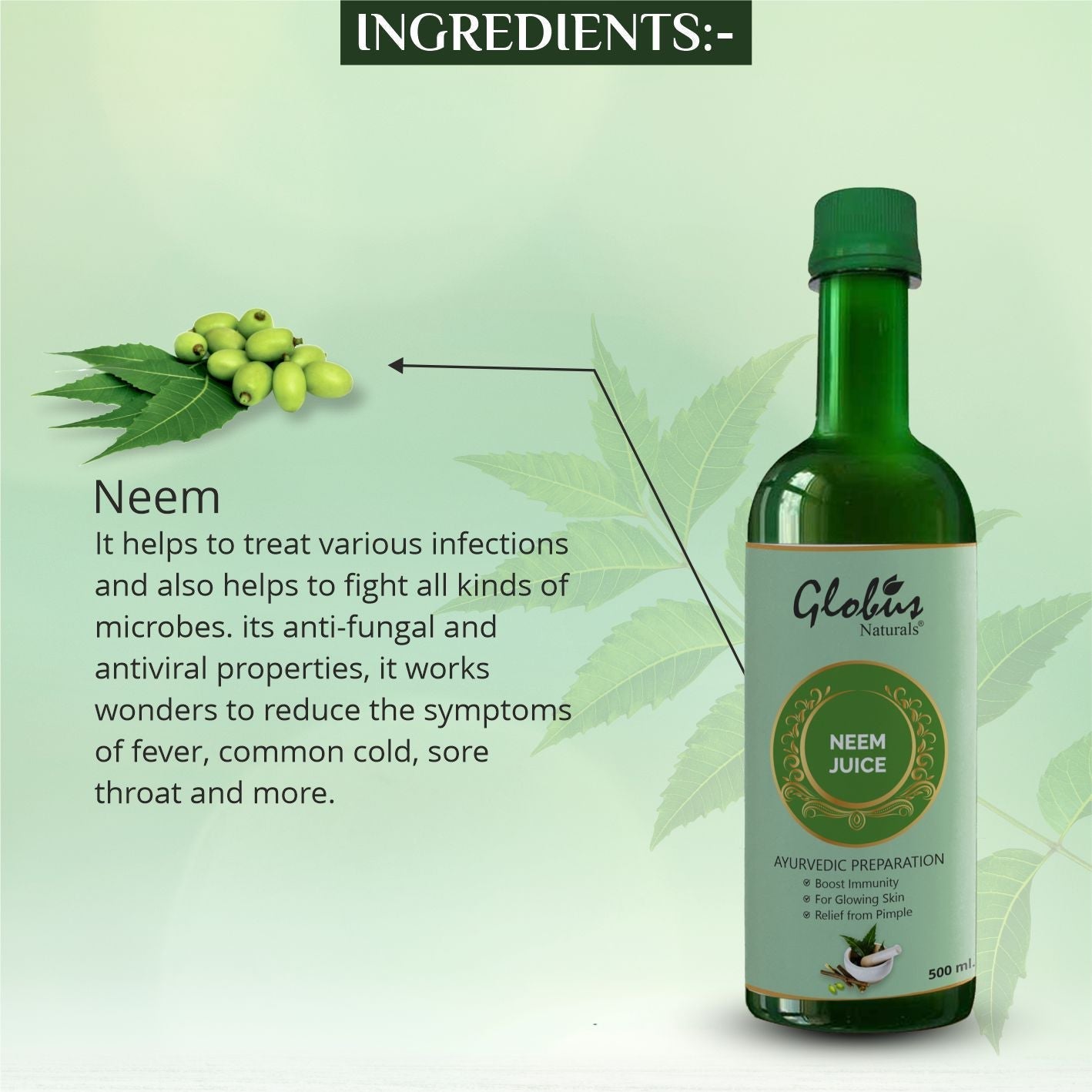Globus Naturals Neem Juice 100 % Natural Detoxifier - 500 ml