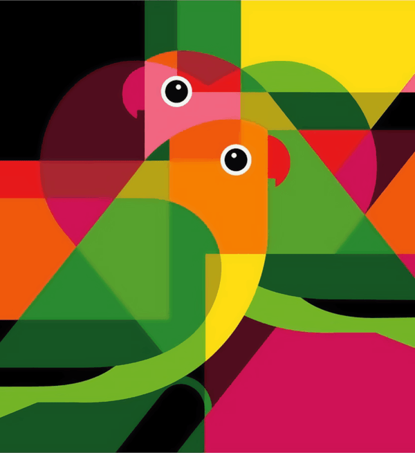 Paint Waint Parrots Coloring Artwork